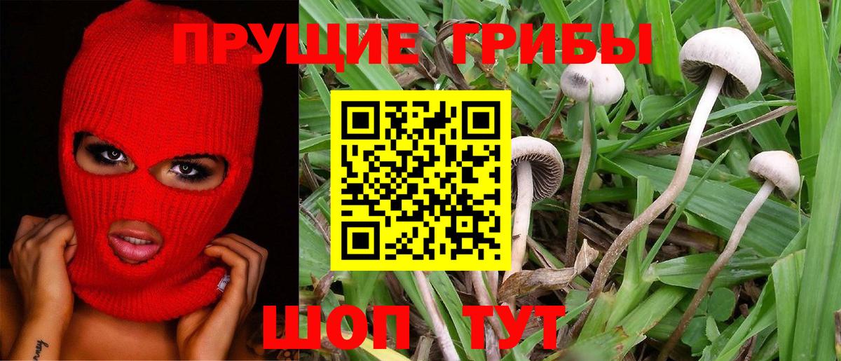 Псилоцибиновые грибы MAGIC MUSHROOMS Киров
